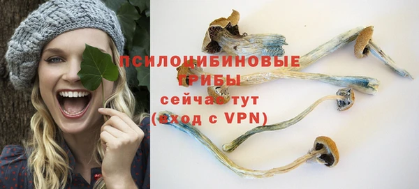 spice Алзамай