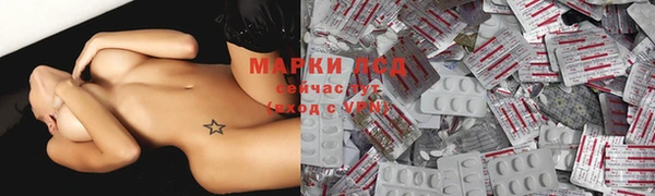 spice Алзамай