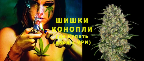 spice Алзамай