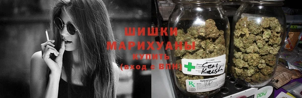 spice Алзамай