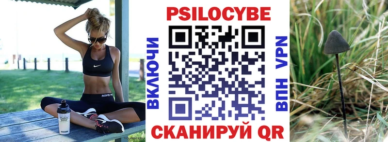 Псилоцибиновые грибы Psilocybe Краснокамск
